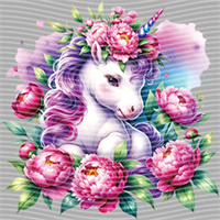Rainbow Horse-RH 491